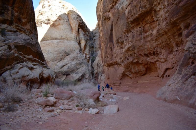 Grand Wash - family hikes in Capitol Reef National Park