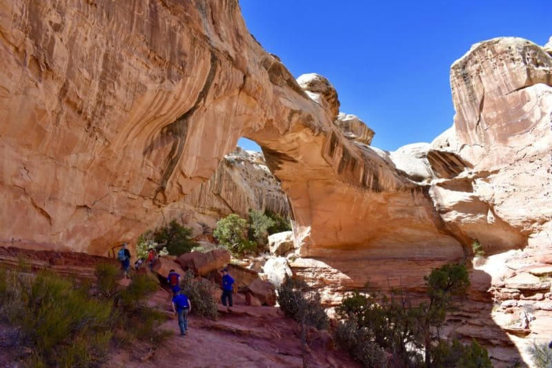 Hickman Bridge - family hikes in Capitol Reef National Park