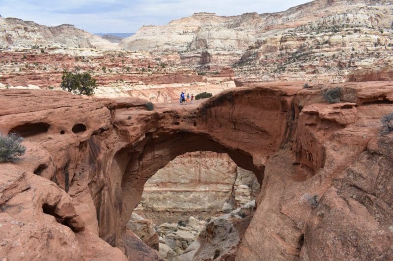 Cassidy Arch - hikes in Capitol Reef National Park