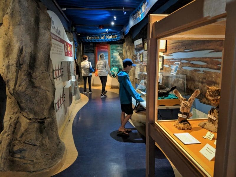 Natural History Museum at Morro Bay State Park - things to do in Morro Bay