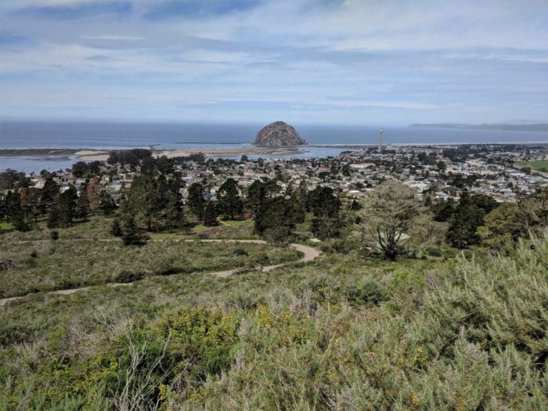 view of Morro Rock and Morro Bay from Black Hill in Morro Bay State Park - things to do in Morro Bay