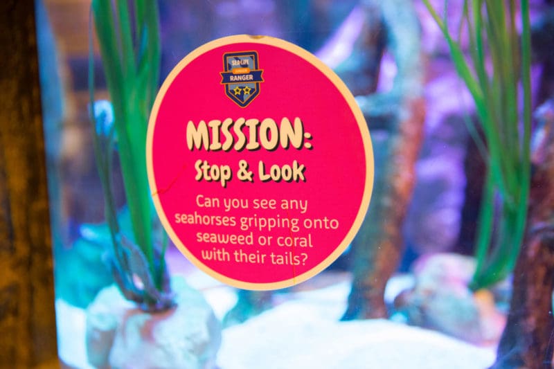 SEA Life Aquarium Orlando Mission Look Sign Ranger Pack