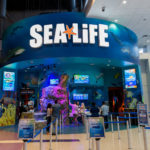 Your Guide to SEA LIFE Aquarium Orlando