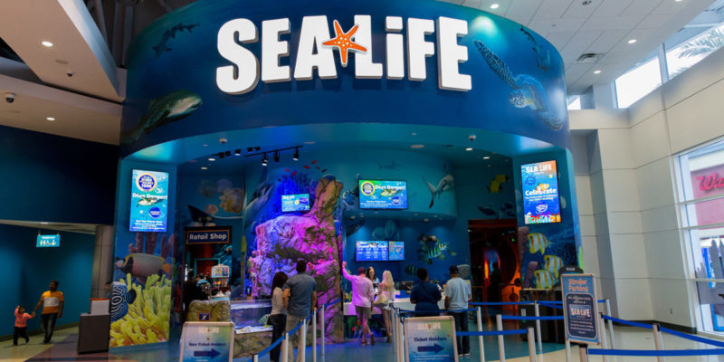 SEA Life Aquarium Orlando entrance Tips for Family Trips