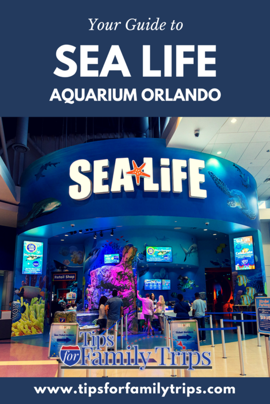 Your Guide to SEA Life Aquarium in Orlando Tips for Family Trips