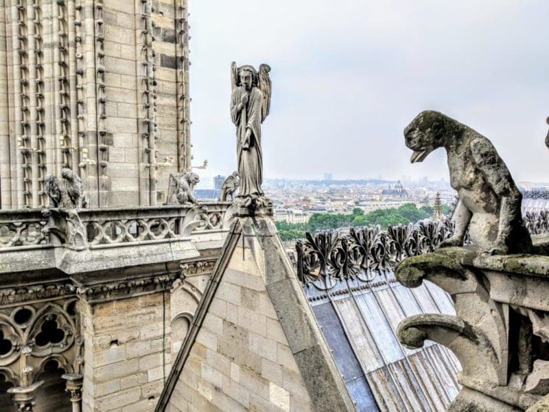 Notre Dame Cathedral View from the top