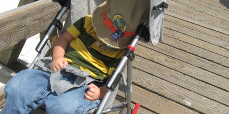 child in travel stroller at Yellowstone National Park