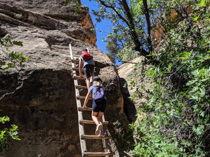 ladder at Cave Springs trail, Canyonlands National Park, Needles district, San Juan County, Utah