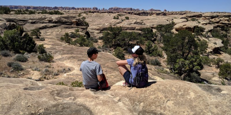 View of the Needles from Pothole Point trail, Canyonlands National Park - San Juan County, Utah