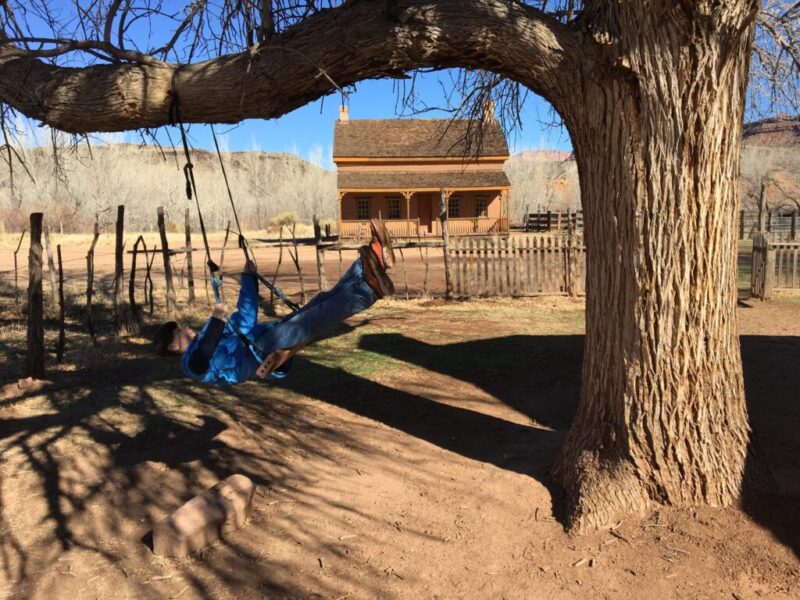 sturdy swing at Grafton ghost town near Zion National Park in Utah